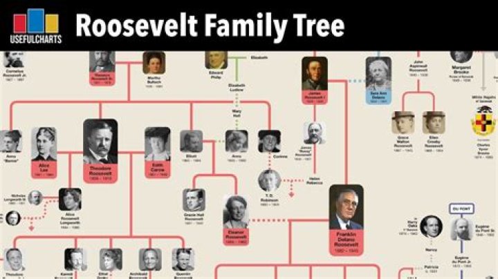 Is FDR Related To Teddy Roosevelt? Their Family Tree & Branches |