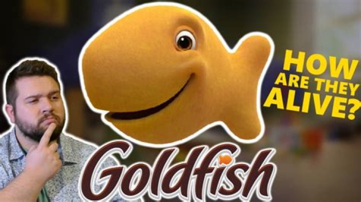Unveiling The Genius Behind The "Goldfish Commercial NBA Player"
