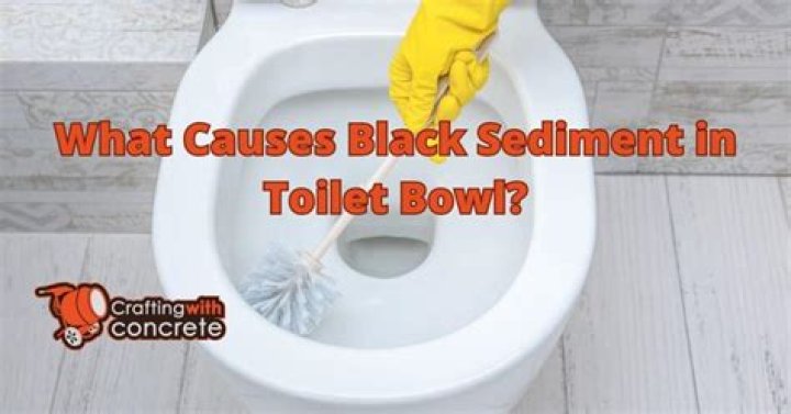 What causes black sediment in toilet bowl?